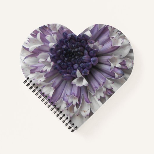 Brett Notizbuch (Vorderseite)