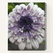 Brett Notizbuch (Rückseite)