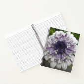 Brett Notizbuch (Innenseite)