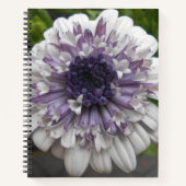 Brett Notizbuch (Vorderseite)