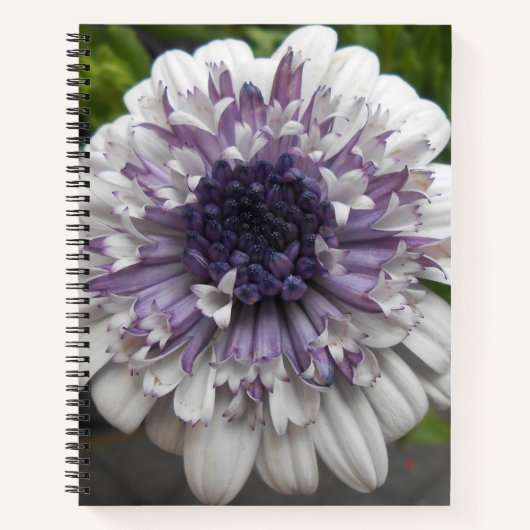 Brett Notizbuch (Vorderseite)