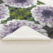 Brett Sherpadecke (3/4)