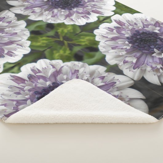 Brett Sherpadecke (3/4)