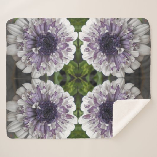 Brett Sherpadecke (Vorderseite (Horizontal))