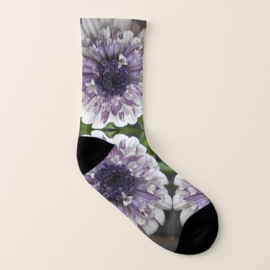 Brett Socken (Rechts - Außen)