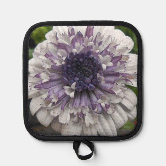 Brett Topflappen (Vorderseite)