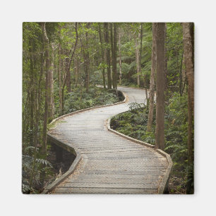 Bretterweg nach Nelson Falls, Franklin - Gordon Magnet