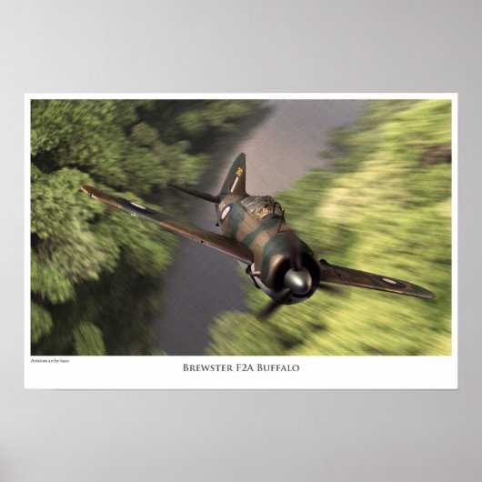 Brewster F2A Buffalo Poster (Vorne)