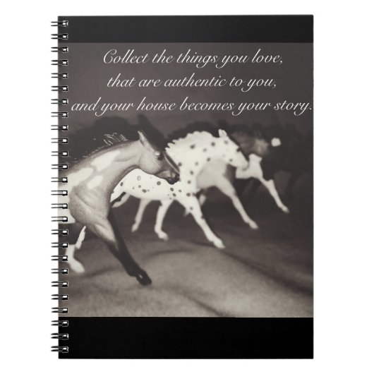 Breyer vorbildliches notizblock (Vorderseite)