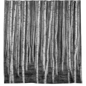Brezový grove Birken, Russland Duschvorhang (Vorderseite)