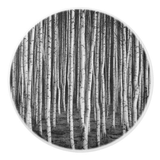 Brezový grove Birken, Russland Keramikknauf (Vorderseite)