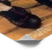 BRIAN BOSEWORTH DAS LAND VON BOZ POSTER (Ecke)