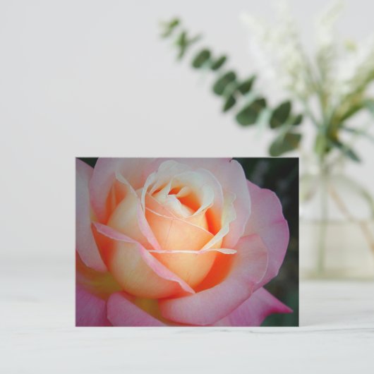 Brianna Postkarte (Stehend Vorderseite)