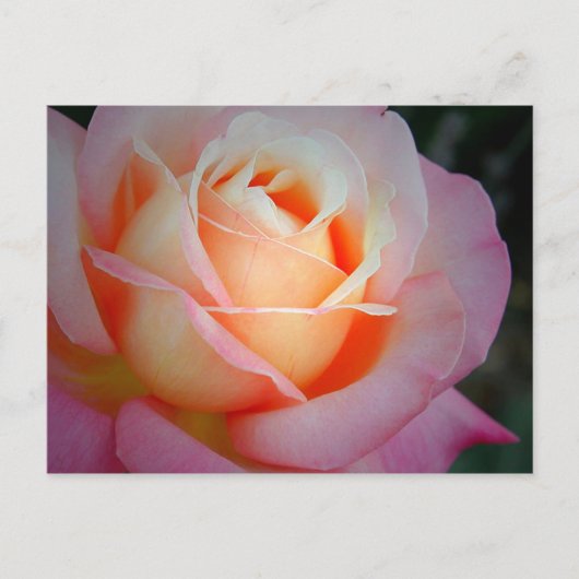 Brianna Postkarte (Vorderseite)