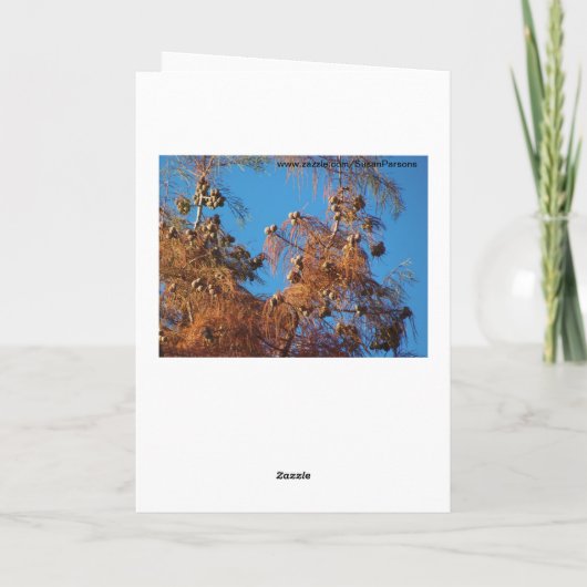 Brian's Tree, AutumnGeem Karte (Rückseite)