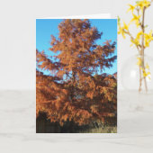 Brian's Tree, AutumnGeem Karte (Gelbe Blume)