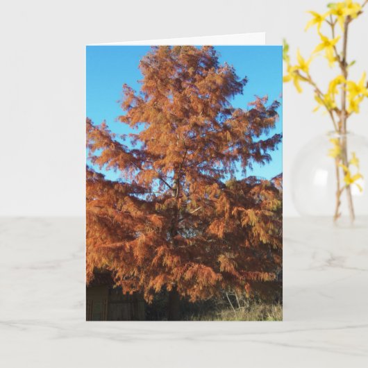 Brian's Tree, AutumnGeem Karte (Gelbe Blume)