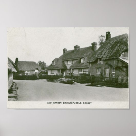 Briantspuddle, Dorset Vintager Postkartendruck Poster (Vorne)