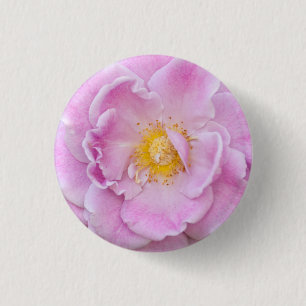 Briar Rose Button