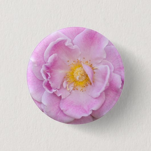 Briar Rose Button (Vorderseite)