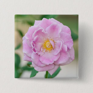 Briar Rose Button