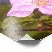 Briar Rose Fotodruck (Ecke)
