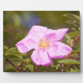 Briar Rose Fotoplatte (Vorderseite)