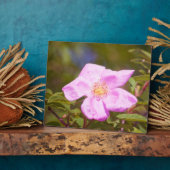 Briar Rose Fotoplatte (Seite)