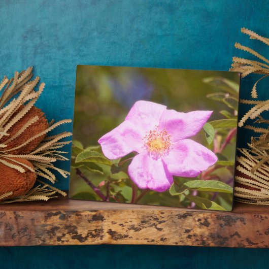 Briar Rose Fotoplatte (Seite)