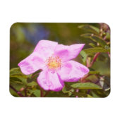 Briar Rose Magnet (Horizontal)