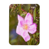 Briar Rose Magnet (Vertikal)