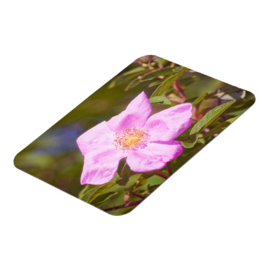 Briar Rose Magnet (Linke Seite)