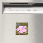 Briar Rose Magnet (In Situ (Geschirrspüler))