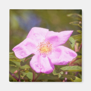 Briar Rose Magnet