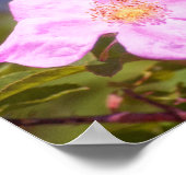 Briar Rose Poster (Ecke)