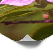 Briar Rose Poster (Ecke)