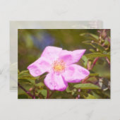 Briar Rose Postkarte (Vorne/Hinten)