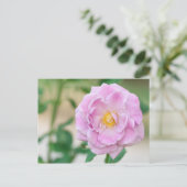 Briar Rose Postkarte (Stehend Vorderseite)