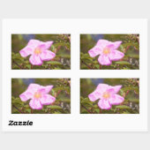 Briar Rose Rechteckiger Aufkleber (Blatt)