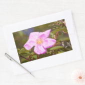 Briar Rose Rechteckiger Aufkleber (Umschlag)