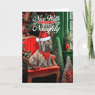 Briard Christmas Dog Naughty oder Nice Feiertagskarte
