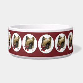 Briard Christmas Napf