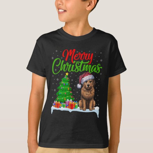 Briard Dog Christmas Tree Lights Funny Xmas Briard T-Shirt (Vorderseite)