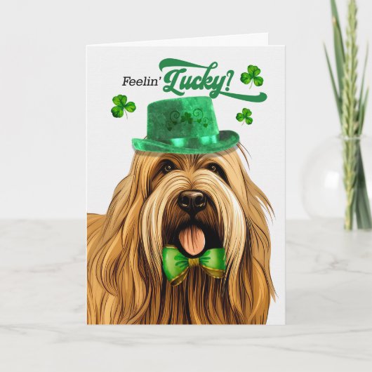 Briard Dog Feelin' Lucky St Patrick's Day Feiertagskarte (Vorderseite)