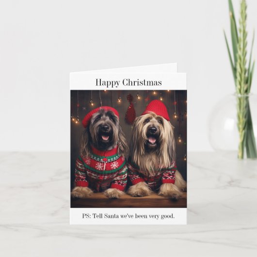 Briard Dogs Christmas Card Karte (Vorderseite)