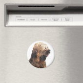 Briard fauve 3 magnet (In Situ (Geschirrspüler))