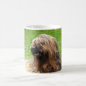 Briard fauve kaffeetasse (Mittel)