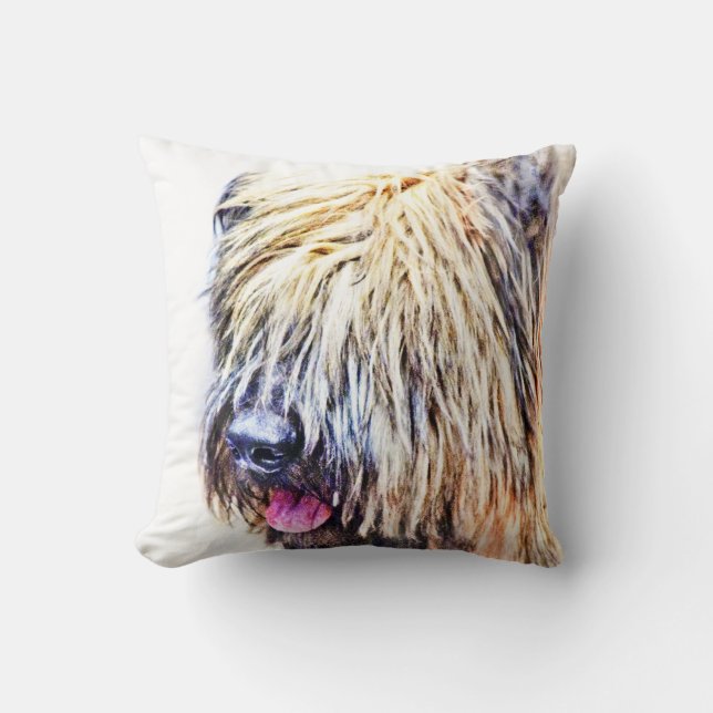 Briard Hund Kissen (Vorderseite)