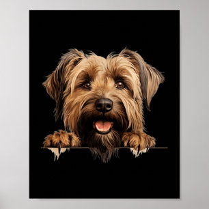 Briard Hund Mama Papa spähender Welpe Poster
