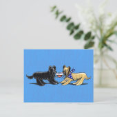 Briard Mad hasst Off-Leash Art™ Postkarte (Stehend Vorderseite)